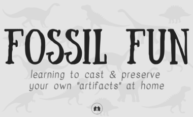 fossil casting molding preserving science homeschool homeschooling
