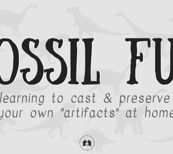 fossil casting molding preserving science homeschool homeschooling