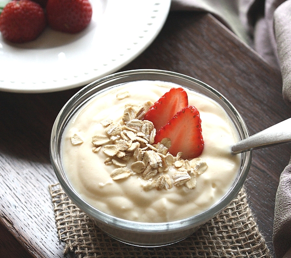 homemade yogurt recipe method dehydrator