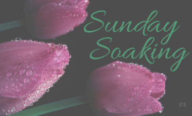 Sunday Soaking A Reason For Homeschool scripture Bible homeschooling