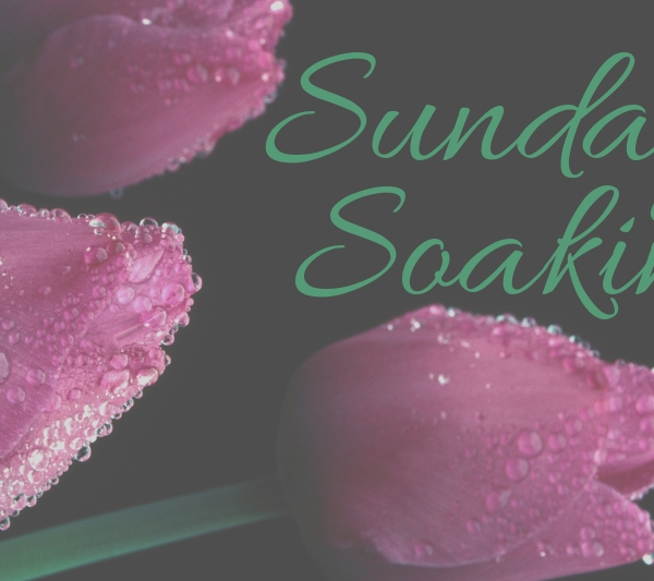 Sunday Soaking A Reason For Homeschool scripture Bible homeschooling