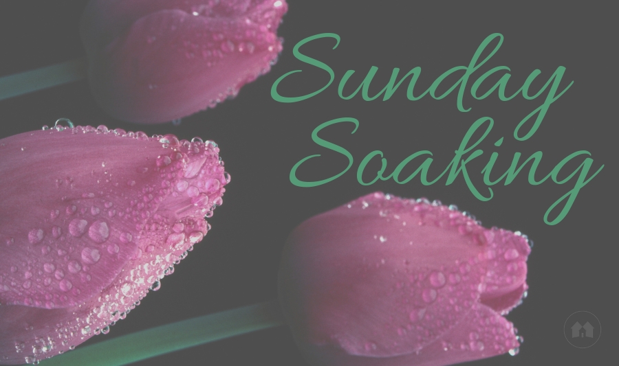 Sunday Soaking A Reason For Homeschool scripture Bible homeschooling