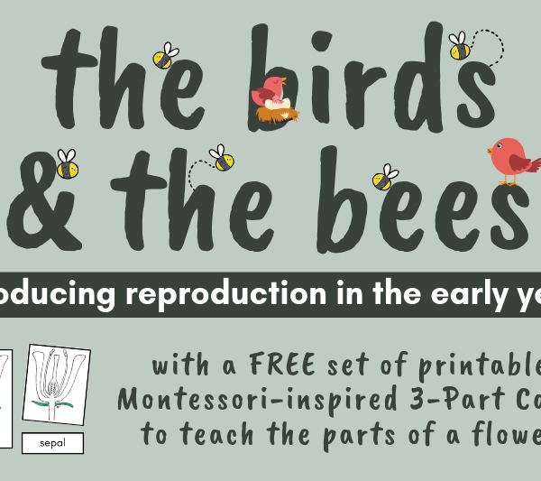 birds bees reproduction elementary education homeschool homeschooling Montessori