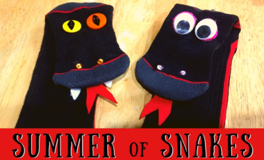 summer science project craft snake identification