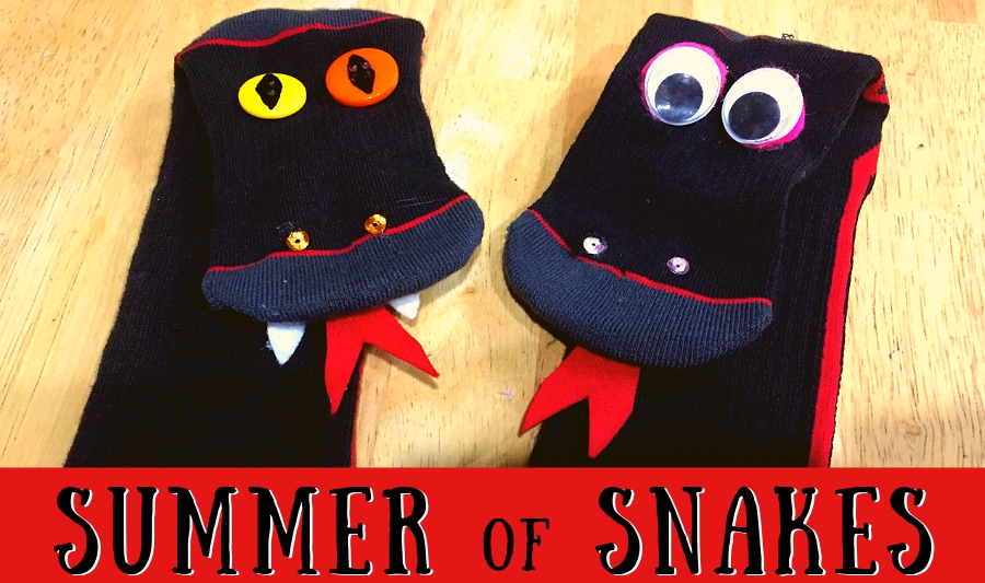 summer science project craft snake identification