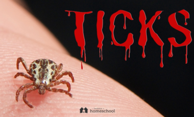 ticks tick-borne illnesses bite prevention symptoms