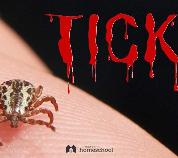 ticks tick-borne illnesses bite prevention symptoms