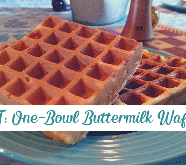 one bowl buttermilk waffles recipe printable download