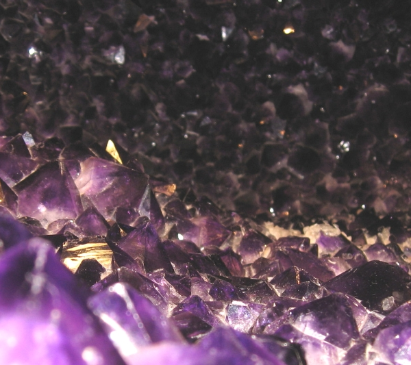 rock collecting rocks geology petrology homeschool homeschooling science