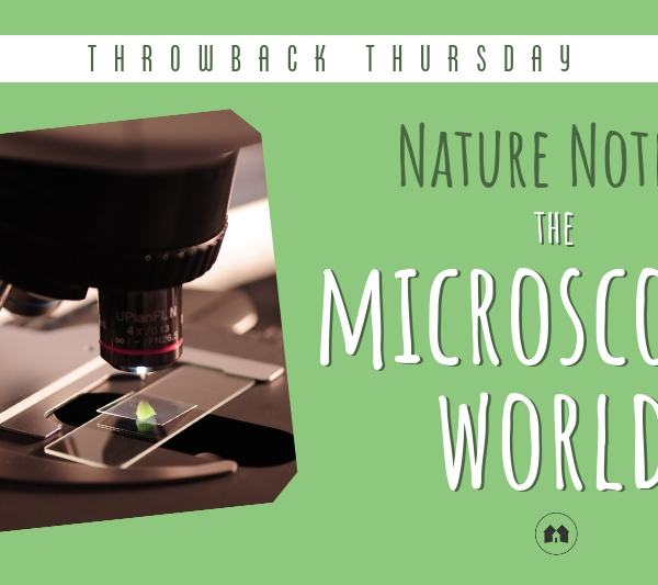 microscopes science nature homeschool homeschooling