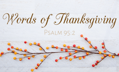 Thanksgiving Psalm 95:2