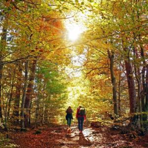 hiking day outdoors nature exercise healthy family life homeschool homeschooling