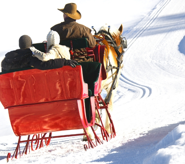 Jingle Bells Christmas carol song history homeschool homeschooling