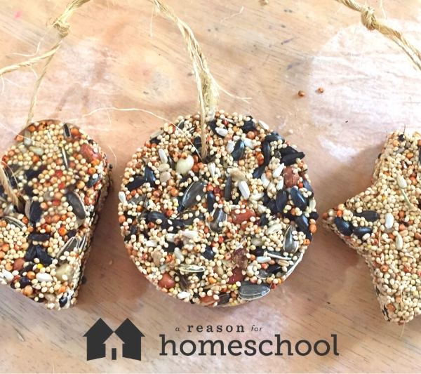 birdseed treats recipe homeschool homeschooling bird feeding birds nature