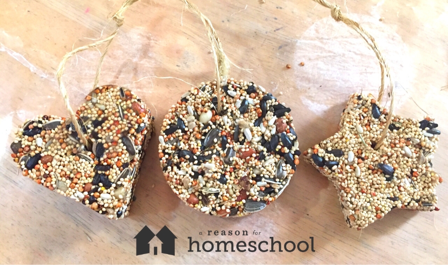 birdseed treats recipe homeschool homeschooling bird feeding birds nature