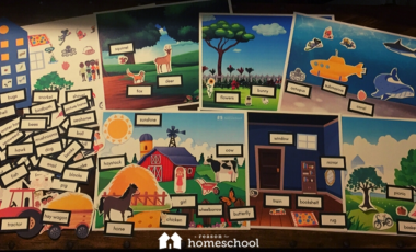 homeschooling homeschool grammar nouns around town free printable download educational activity