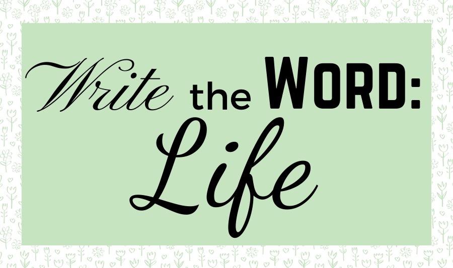 life Write The Word Bible scripture journaling handwriting